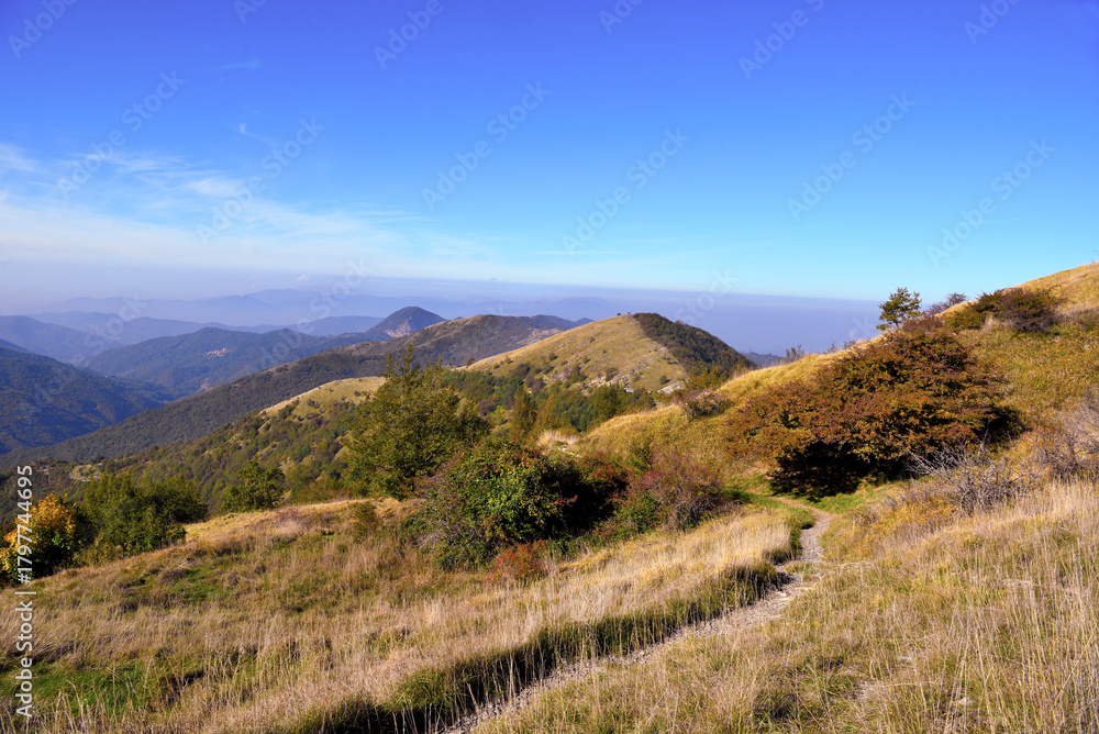 Fototapeta premium Incisa Pass trail, Mount Antola, Liguria, Italy