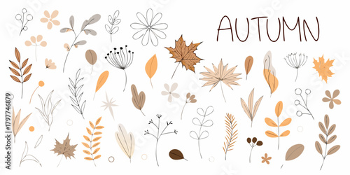 Autumn collection of hand drawn botanical elements and leaves in warm earthy tones