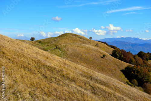 summit of Mount Antola, Liguria, Italy