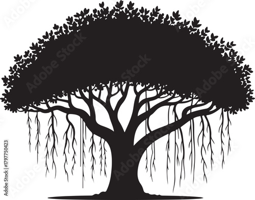 Silhouette of a large ancient banyan tree with hanging aerial roots against a white background