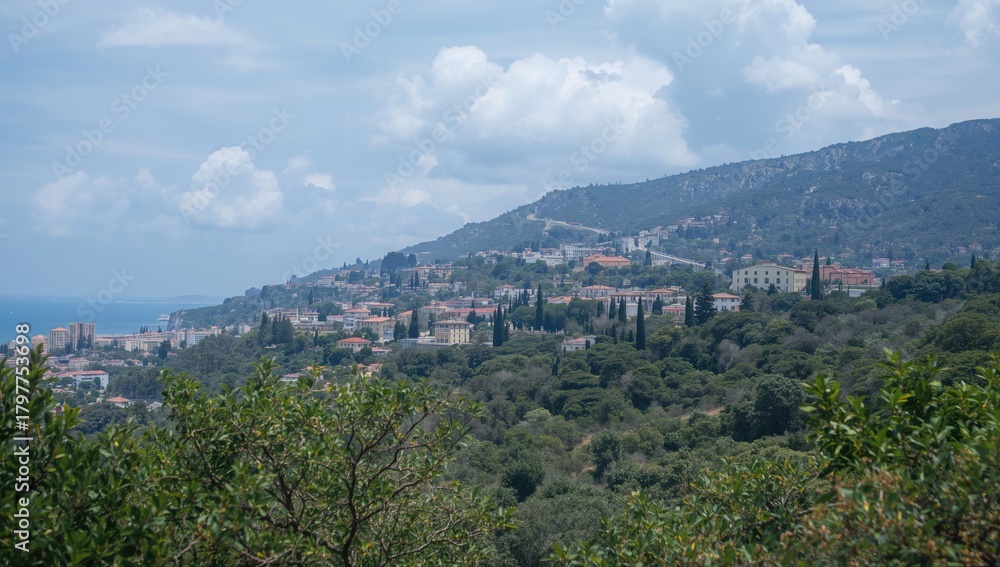 Obraz premium Hills with olive gardens and villas overlooking a sea and mountains, showcasing urban density