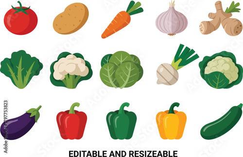 Vegetable Icons Set Editable Vector Design .