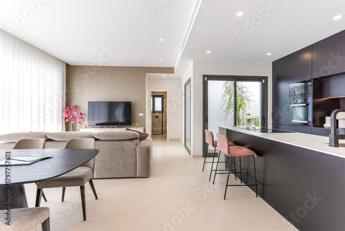 Modern living room and kitchen with stylish furniture and natural lighting