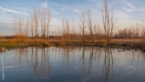 Winter scenery featuring a reflective pond with bare poplar trees under a cloudy blue sky, seasonal change