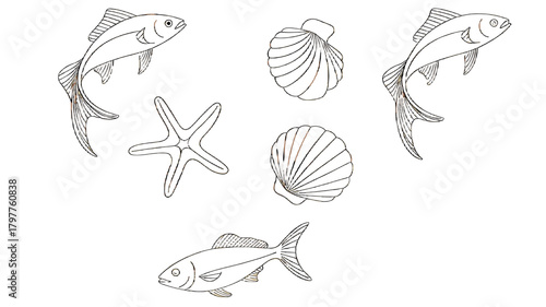 Ocean-themed artwork showing various marine creatures.