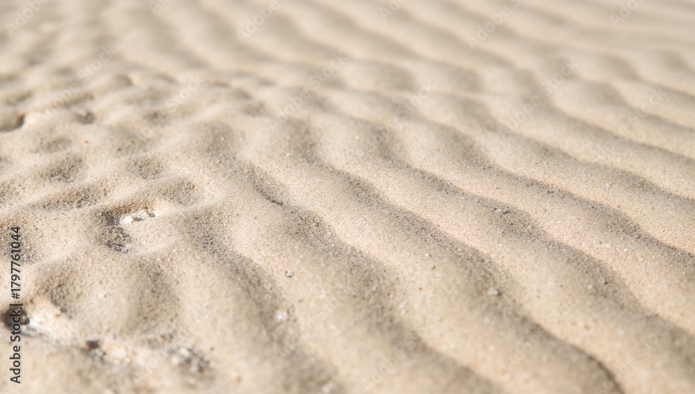 Fototapeta premium Sand background, natural light beige or white sandy beach texture, suitable for editorial header background