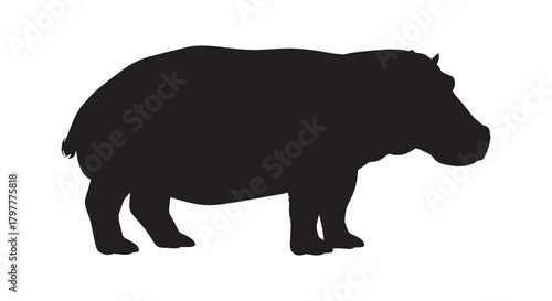 Silhouette of a hippopotamus vector illustration of a large African mammal isolated on a white background