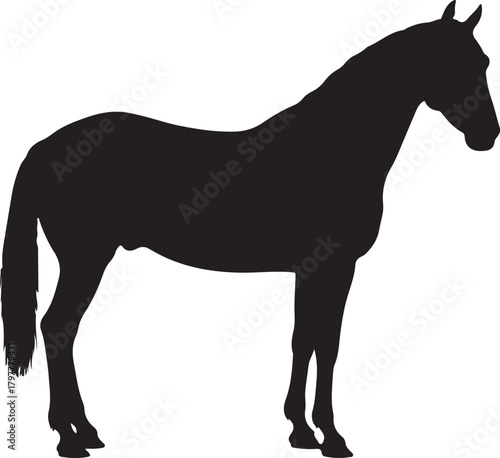 Elegant silhouette of a majestic horse standing still against a clean white background symbolizing strength and grace