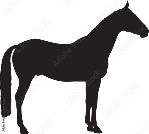 A striking black silhouette of a majestic horse standing proudly against a clean white background showcasing its elegant form and powerful physique