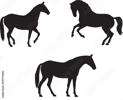 Three black silhouette horses in different poses on a white background representing movement and power