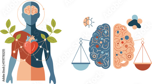 Human body mind balance illustration showing brain, heart, growth, emotional wellness, mental health connection symbolism