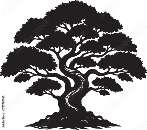 Silhouette of a large, ancient, gnarled tree with a twisted trunk and spreading branches filled with dense foliage also transparent background