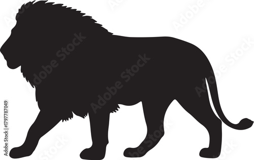 Silhouette of a male lion walking with a flowing mane on a white background animal mammal also transparent background