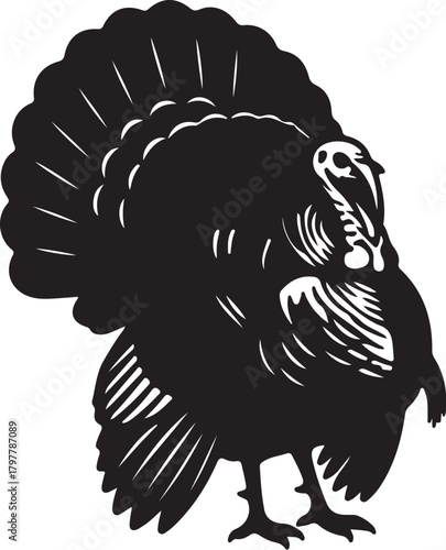 Silhouette of a turkey with fanned tail feathers on a white background bird black also transparent background
