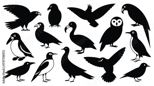 Distinct black bird silhouettes soar across a clean white backdrop, perfect for nature designs, educational materials, or simplified avian illustrations