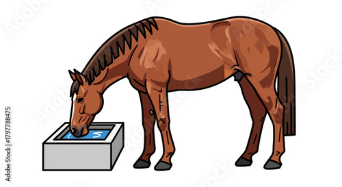 Cartoon Horse Drinking Water from a Trough Illustration on White Background