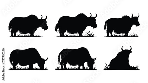 Majestic yak silhouettes showcase diverse poses grazing and resting on grassy plains, perfect for natural history and wildlife projects