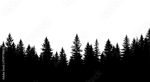 Vector of a forest with tall pine trees, silhouette style, isolated