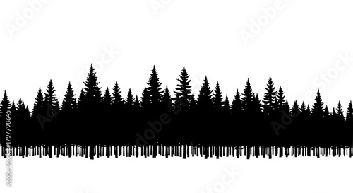 Vector of a forest with tall pine trees, silhouette style, isolated