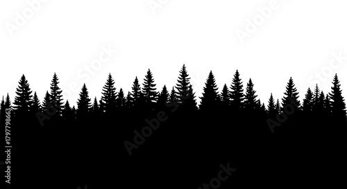 Vector of a forest with tall pine trees, silhouette style, isolated