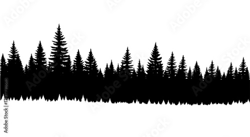 Vector of a forest with tall pine trees, silhouette style, isolated