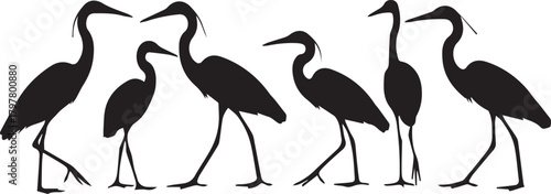 Diverse group of elegant heron silhouettes in natural poses capturing avian grace