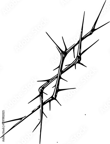 Multiple twigs arranged together. Prickly branches with thorns. Tree stems with barbed ends.