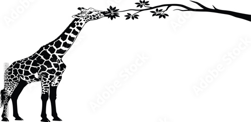 PrintGiraffe silhouette feeding, tree branch leaves, African wildlife, long neck animal, savanna nature, black outline, white background, wild behavior