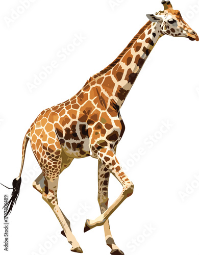 PrintGiraffe walking silhouette, African wildlife motion, long neck animal, nature illustration, white background, black outline, savanna habitat, graceful stride