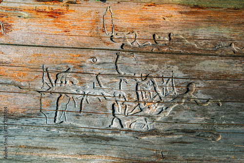 Old wooden wall with carved figures and faded orange stains, revealing intricate patterns and weathered texture. Concept of folk art heritage