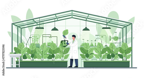Botanist in greenhouse examining plant seedling for agricultural innovation and research of new