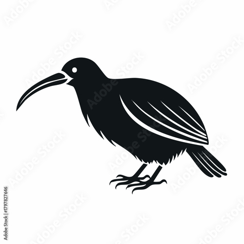 Black kiwi bird silhouette with transparent background