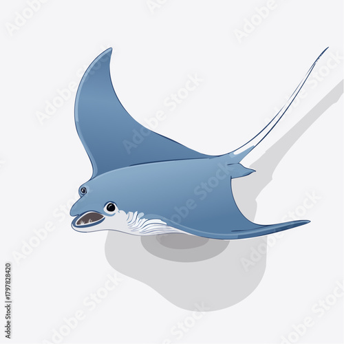 Blue manta ray swimming with shadow