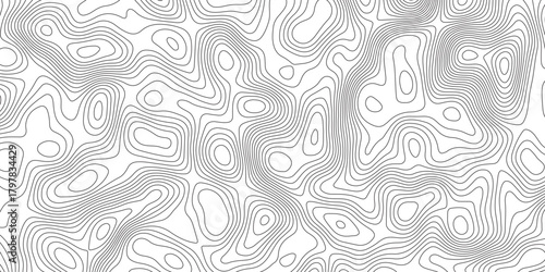 Abstract topographic contours map background. Panorama view gradient multicolor wave curve lines banner background design.