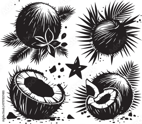 Coconut Fruit Showing its White Flesh With Three Dots for Vector silhouette