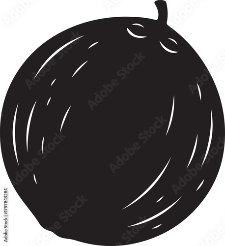 Coconut Fruit Showing its White Flesh With Three Dots for Vector silhouette