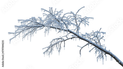 Wallpaper Mural Frozen tree branch adorned with glistening icicles in winter Torontodigital.ca