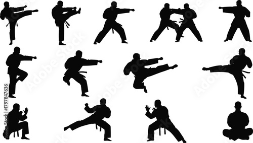 martial, arts, silhouette, kick, punch, stance, sparring, meditation, defense, posture, dynamic, airborne, seated, combat, vector