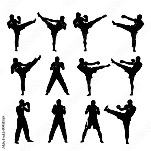 "Martial Arts Fighter Silhouette Set – Kickboxing, Karate, Taekwondo Combat Poses Vector"