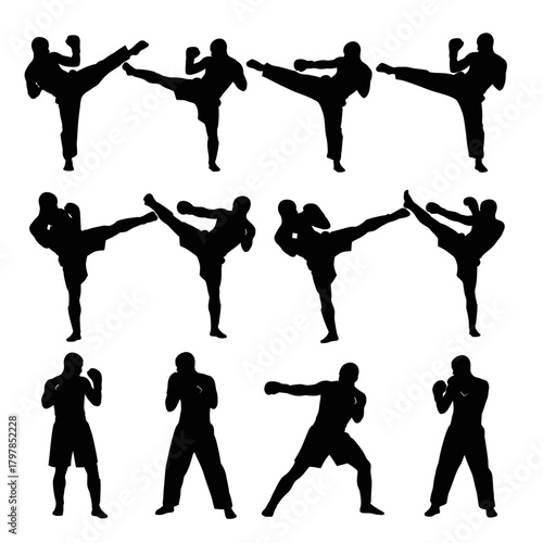 "Martial Arts Fighter Silhouette Set – Kickboxing, Karate, Taekwondo Combat Poses Vector"