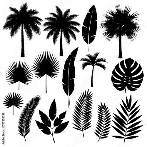 "Tropical Palm Tree and Leaf Silhouette Vector Set – Exotic Jungle Foliage and Botanical Shapes"