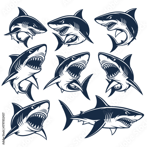 Aggressive Shark Mascot Vector Set – Predatory Ocean Animal Illustrations