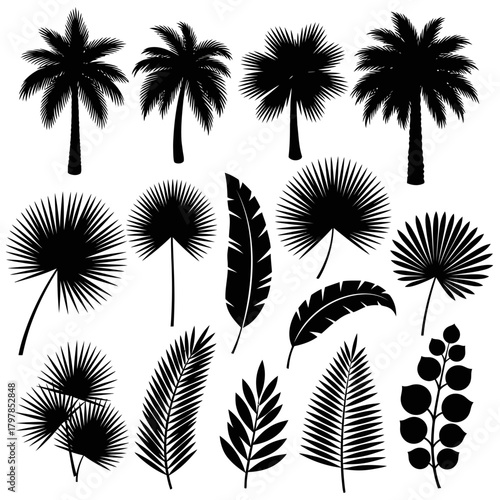 "Tropical Palm Tree and Leaf Silhouette Vector Set – Exotic Jungle Foliage and Botanical Shapes"
