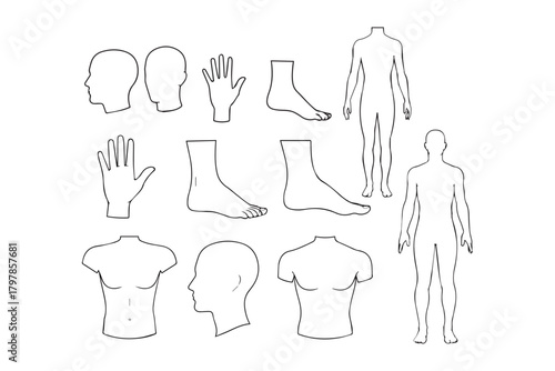 different human body part silhouette pack