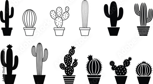 Collation of cactus, vector illustration.