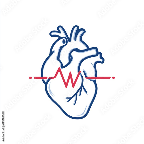 Human Heart with Heartbeat Line Illustration for Medical and Health Related Concepts and Designs on a Clean White Background for Simple Use