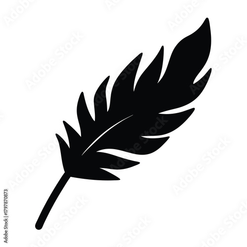 Stylized black feather on a white background with detailed plume design