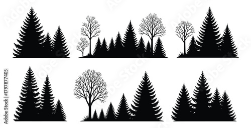 Silhouette forest with pine trees and bare trees creating a woodland landscape scene