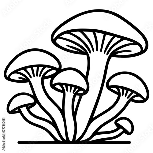 Minimalist line drawing of a cluster of forest mushrooms with rounded caps and visible gills, a clean black outline on a white background—perfect for stickers, logos, and nature-themed design.