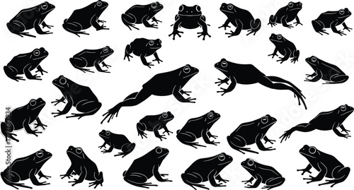 Frog silhouette illustration set, varied poses and spatial alignment, intersect analysis with measurement lines, nature study concept, vector artwork